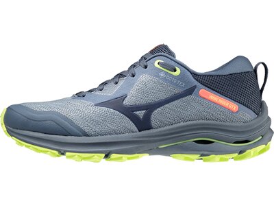 MIZUNO Damen Laufschuhe WAVE RIDER GTX(W) Grau