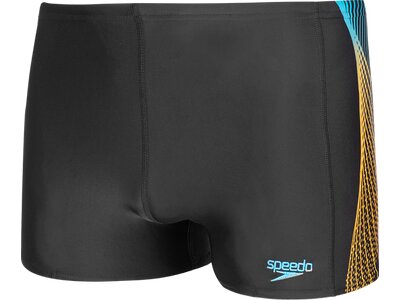 SPEEDO Badehose PNL ASHT Grau