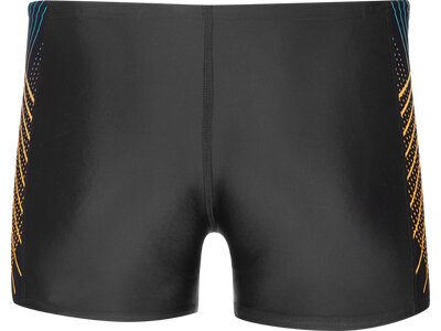 SPEEDO Badehose PNL ASHT Grau