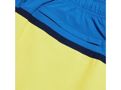 SPEEDO Herren Shorts COLORBLOCK REDONDO EDGE VOLLEY 17" 700 Gelb