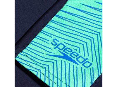 SPEEDO Badehose DIVE SPL ASHT AM BLUE/GREEN Grün