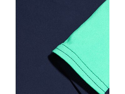 SPEEDO Badehose DIVE SPL ASHT AM BLUE/GREEN Grün