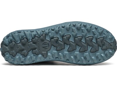TECNICA Herren ARGOS GTX® MS Grau