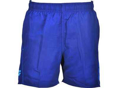 arena Jungen Badehose Boxer Fundamentals Logo Blau