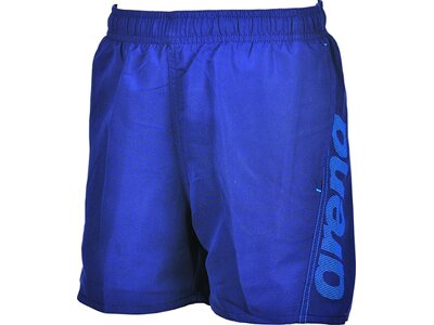 arena Jungen Badehose Boxer Fundamentals Logo Blau