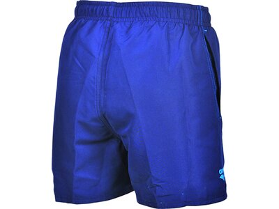 arena Jungen Badehose Boxer Fundamentals Logo Blau