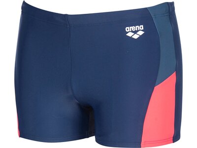 ARENA Herren Badeshorts Ren Blau