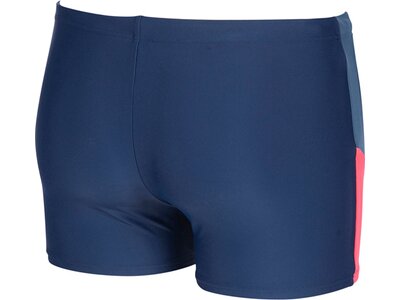 ARENA Herren Badeshorts Ren Blau