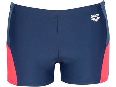 ARENA Herren Badeshorts Ren Blau