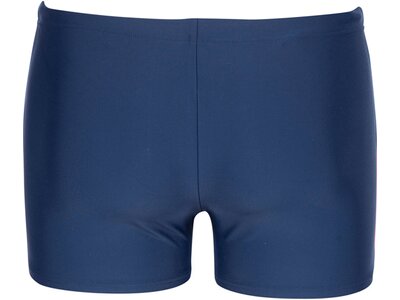 ARENA Herren Badeshorts Ren Blau