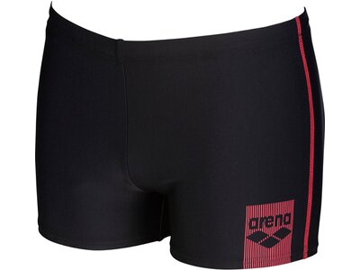 ARENA Herren Badeshorts Basics Schwarz