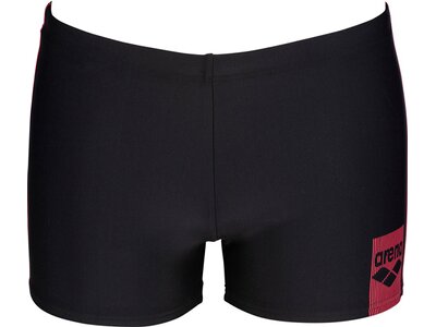 ARENA Herren Badeshorts Basics Schwarz