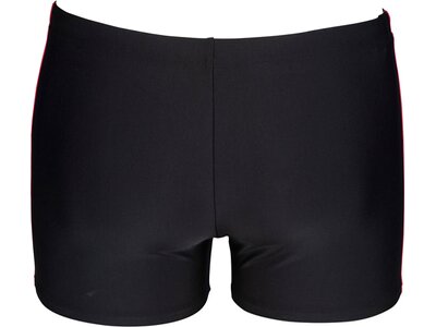 ARENA Herren Badeshorts Basics Schwarz