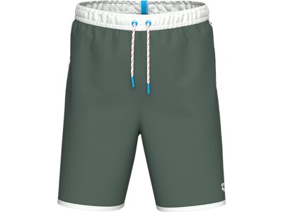 arena Icons Unisex Bermuda Team Stripe Grün