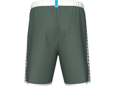 arena Icons Unisex Bermuda Team Stripe Grün