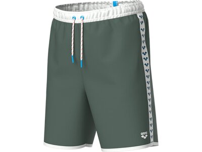 arena Icons Unisex Bermuda Team Stripe Grün