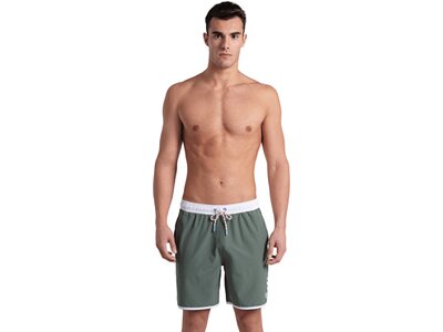 arena Icons Unisex Bermuda Team Stripe Grün