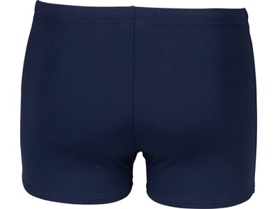 ARENA Badehose MEN'S UNDERWATER SWIM SHORT Bunt