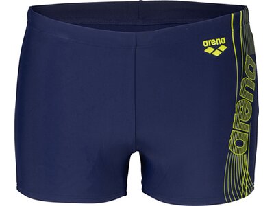 ARENA Herren Badehose DREAMY SWIM SHORT Blau