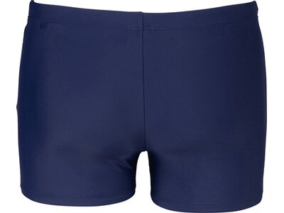 ARENA Herren Badehose DREAMY SWIM SHORT Blau