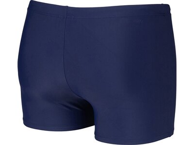 ARENA Herren Badehose DREAMY SWIM SHORT Blau