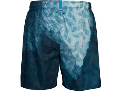 ARENA Herren Badeshorts MEN'S BEACH BOXER PLACED Bunt