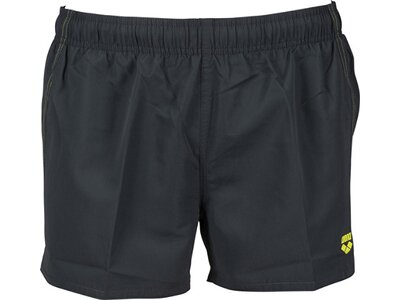 arena Herren Beach Shorts Fundamentals X Grau