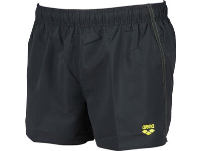 arena Herren Beach Shorts Fundamentals X Grau