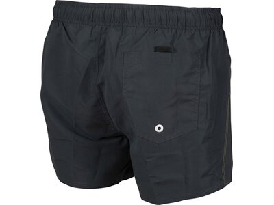 arena Herren Beach Shorts Fundamentals X Grau