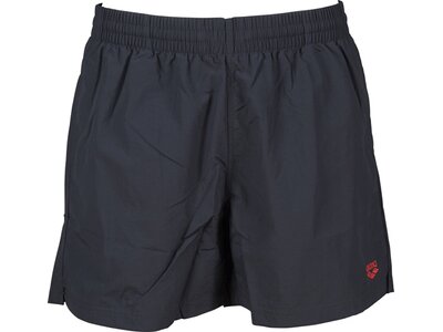 arena Herren Badehose Boxer Fundamentals Sides Vent Grau