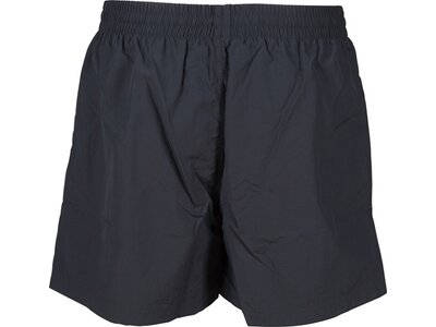 arena Herren Badehose Boxer Fundamentals Sides Vent Grau