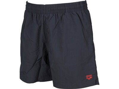 arena Herren Badehose Boxer Fundamentals Sides Vent Grau