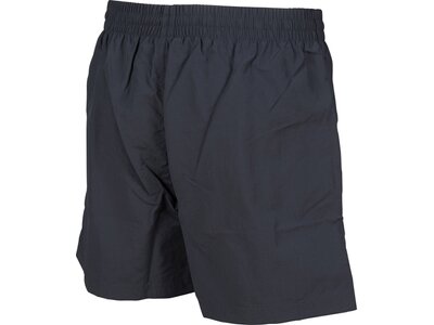 arena Herren Badehose Boxer Fundamentals Sides Vent Grau
