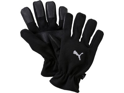 PUMA Herren Handschuhe Winter Players Schwarz
