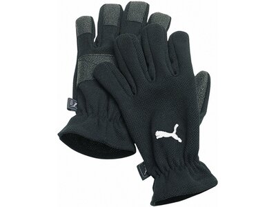 PUMA Herren Handschuhe Winter Players Schwarz