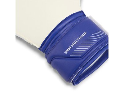 PUMA Herren Handschuhe ULTRA Match Protect RC Blau