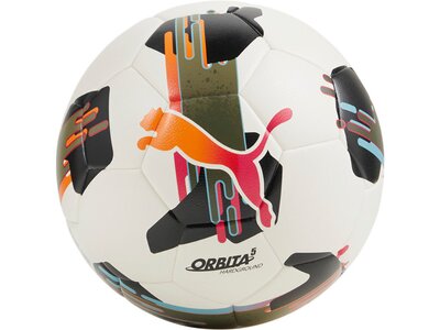 PUMA Ball Orbita 5 TB Hardground Grau