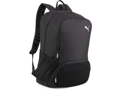 PUMA Tasche teamGOAL Backpack Premium Grau