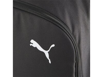 PUMA Tasche teamGOAL Backpack Premium Grau