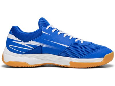 PUMA Herren Indoor-Schuhe Varion II Blau