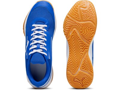 PUMA Herren Indoor-Schuhe Varion II Blau