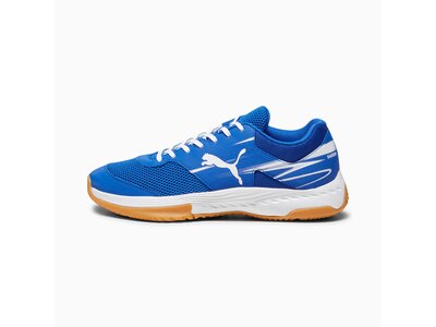 PUMA Herren Indoor-Schuhe Varion II Blau