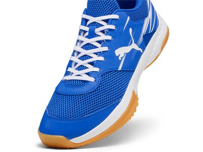 PUMA Herren Indoor-Schuhe Varion II Blau