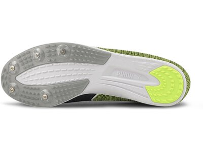 PUMA Herren Trainingsschuhe evoSPEED Distance 8 Braun