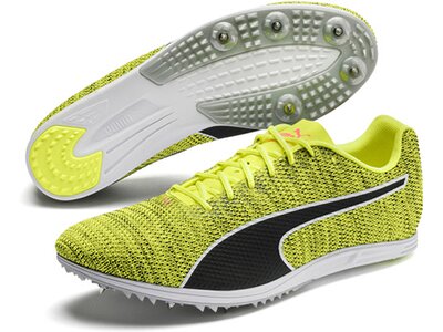 PUMA Herren Trainingsschuhe evoSPEED Distance 8 Braun