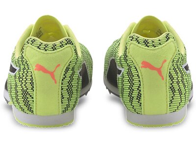 PUMA Herren Laufschuhe evoSPEED Star 6 Grün