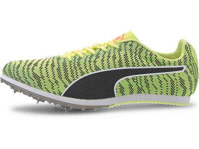 PUMA Herren Laufschuhe evoSPEED Star 6 Grün