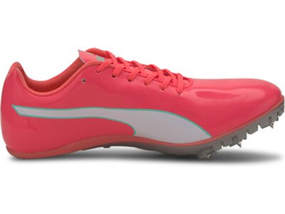 PUMA Herren Leichtathletikschuhe evoSPEED Sprint 10 ( Pink