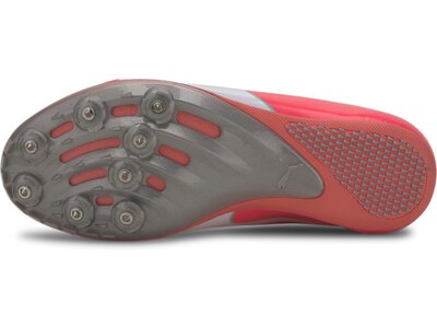 PUMA Herren Leichtathletikschuhe evoSPEED Sprint 10 ( Pink