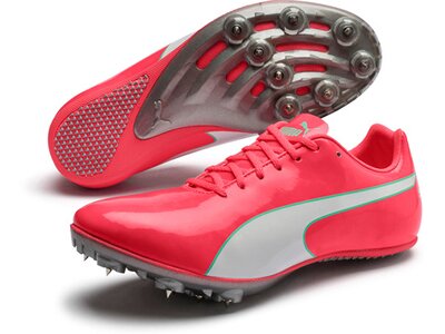 PUMA Herren Leichtathletikschuhe evoSPEED Sprint 10 ( Pink